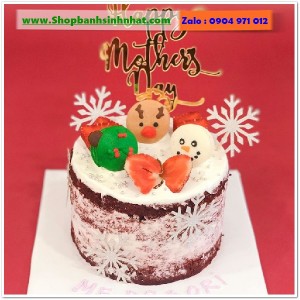 Bánh Sinh Nhật Tiramisu - T303
